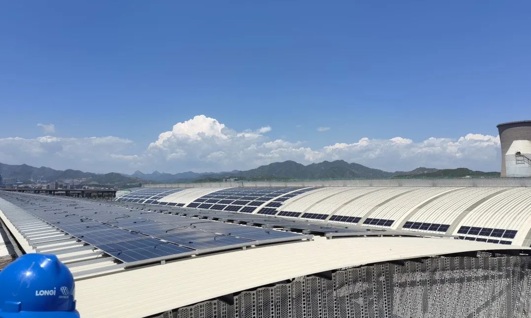 1741162364873694.jpg 1741162364873694.jpg